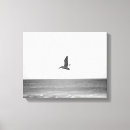 Suche nach brauner pelikan leinwandbilder Bild des strandes