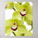 Recherche de tête fleur posters Nature