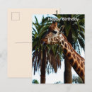 Suche nach lustige geburtstags postkarten Giraffe