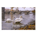 Suche nach prag poster Fluss