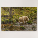 Recherche de chasse puzzles Forêt