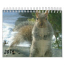 Suche nach eichhörnchen kalender Lebewesen