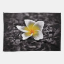 Suche nach frangipani geschirr tücher Tropisch