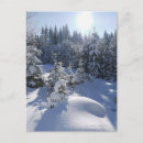 Recherche de froid cartes postales Scène tranquille