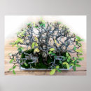 Suche nach bonsai poster Natur