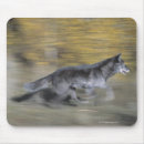 Suche nach läufer mousepads Natur