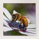Suche nach bienen puzzle Fotografie