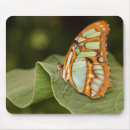 Recherche de malachite tapis souris Nature