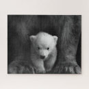 Suche nach weißer und schwarzer bär puzzle Schwarz und weiß