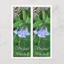 Recherche de jacinthe des bois cartes postales Photographie