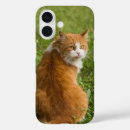 Recherche de félin iphone coques Chaton