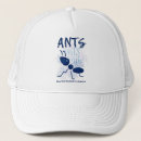 Recherche de insectes casquettes Bourdon