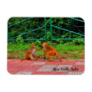 Suche nach indien magnete Delhi