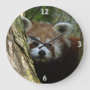 Recherche de panda rouge horloges Ailurus