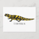 Recherche de salamandre cartes postales Lézard