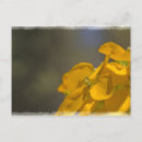 Suche nach fauna postkarten Quelle