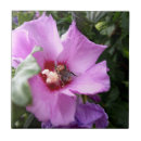 Recherche de bourdon carreaux Fleurs