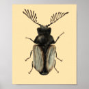 Suche nach entomologie poster Zoologie
