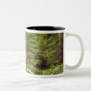 Suche nach muir tassen Baum