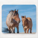 Suche nach stallion mousepads Senf