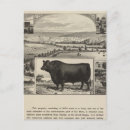 Suche nach galloway poster Ansicht