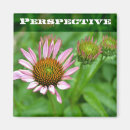Recherche de perspective photographie Nature