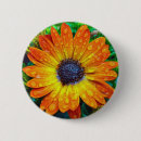 Suche nach orange gold buttons Natur