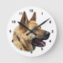 Recherche de shepherd horloges Canine