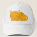 Recherche de minou accessoires Animaux familiers