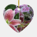 Recherche de jolie ornements Rose