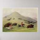 Suche nach catlin poster Amerikanische ureinwohner