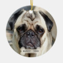 Suche nach pug ornamente Hund