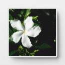 Suche nach vegetation fotoplatten Natur