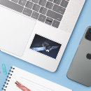 Recherche de panneaux solaires autocollants Espace