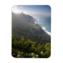 Suche nach madeira magnete Natur
