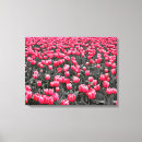 Suche nach weiße tulpen leinwandbilder Schwarz weiß