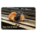 Suche nach süße tiere magnete Natur