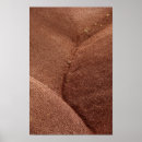 Suche nach fossilien poster Natur