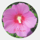 Suche nach wassertropfen aufkleber Blume