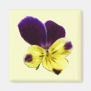 Suche nach viola magnete Mit blumen