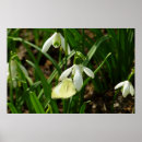 Suche nach schneefallen poster Natur
