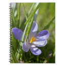 Suche nach krokus kleine notizbücher Frühling