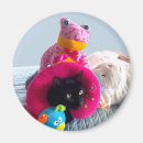 Recherche de maladroit magnets Humoristique