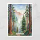 Suche nach redwood national park postkarten Aquarell