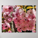 Recherche de rose macro posters Floral
