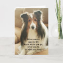 Suche nach die shetlandinseln schäferhund karten Hunde