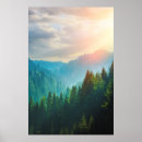 Suche nach kiefern poster Natur