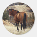 Recherche de de cheval magnets Équin