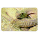 Recherche de serpent magnets Sauvage