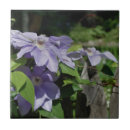Suche nach clematis fliesen Blume